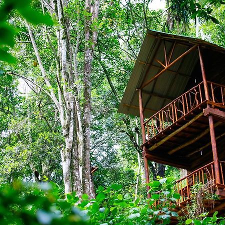 Ella Ecolodge المظهر الخارجي الصورة