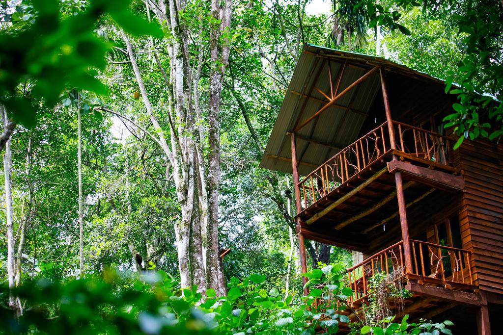 Ella Ecolodge المظهر الخارجي الصورة