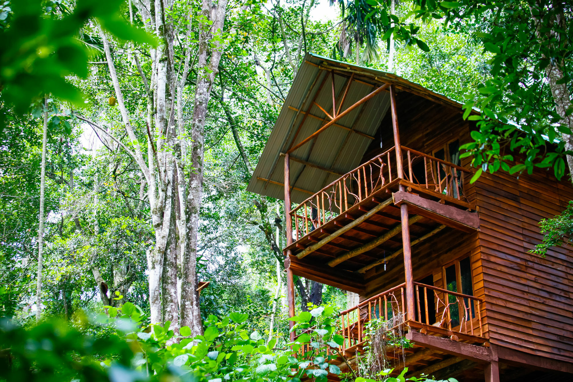 Ella Ecolodge المظهر الخارجي الصورة