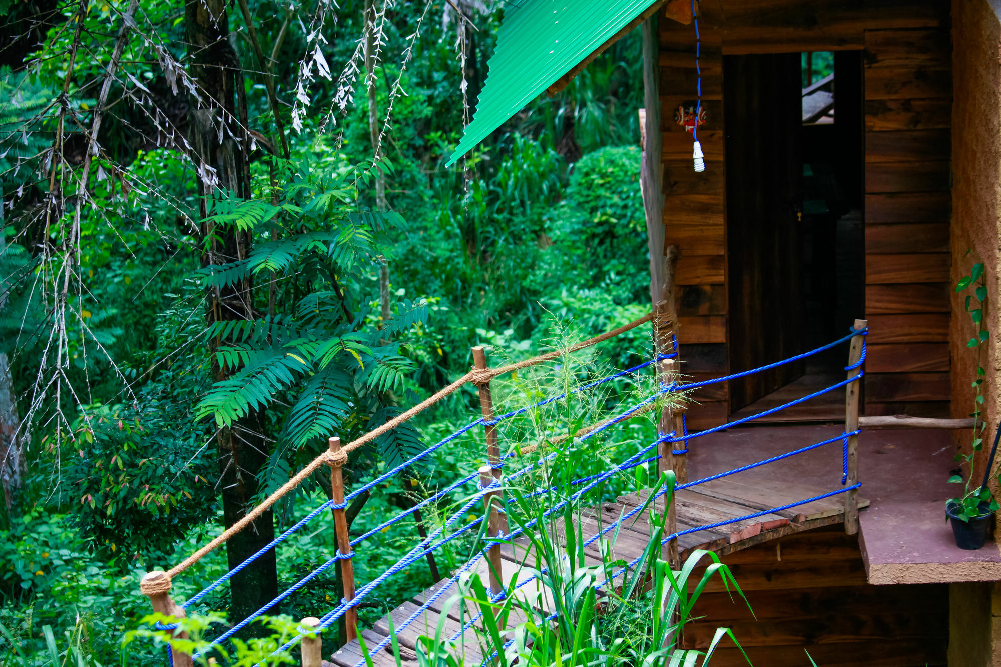 Ella Ecolodge المظهر الخارجي الصورة
