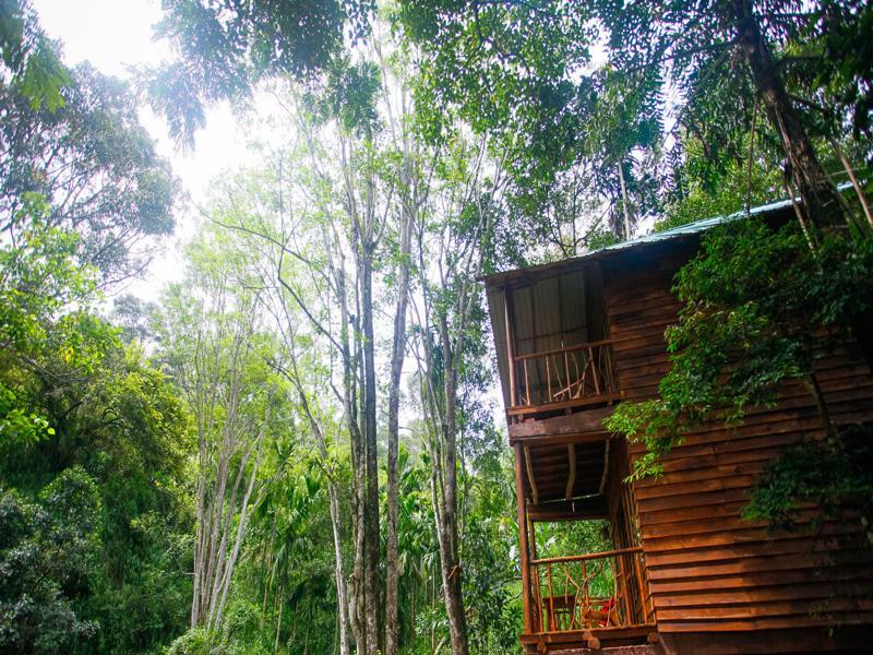 Ella Ecolodge المظهر الخارجي الصورة