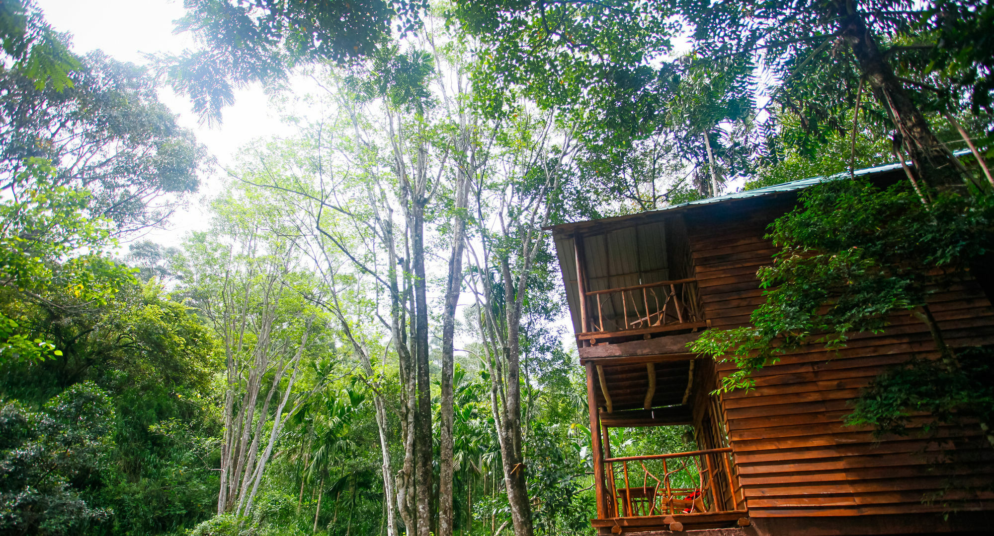 Ella Ecolodge المظهر الخارجي الصورة