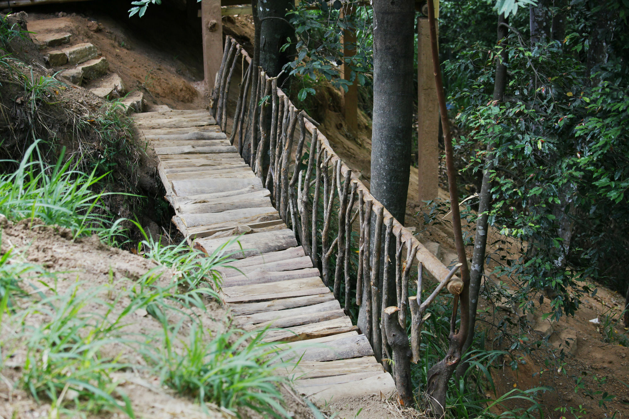 Ella Ecolodge المظهر الخارجي الصورة