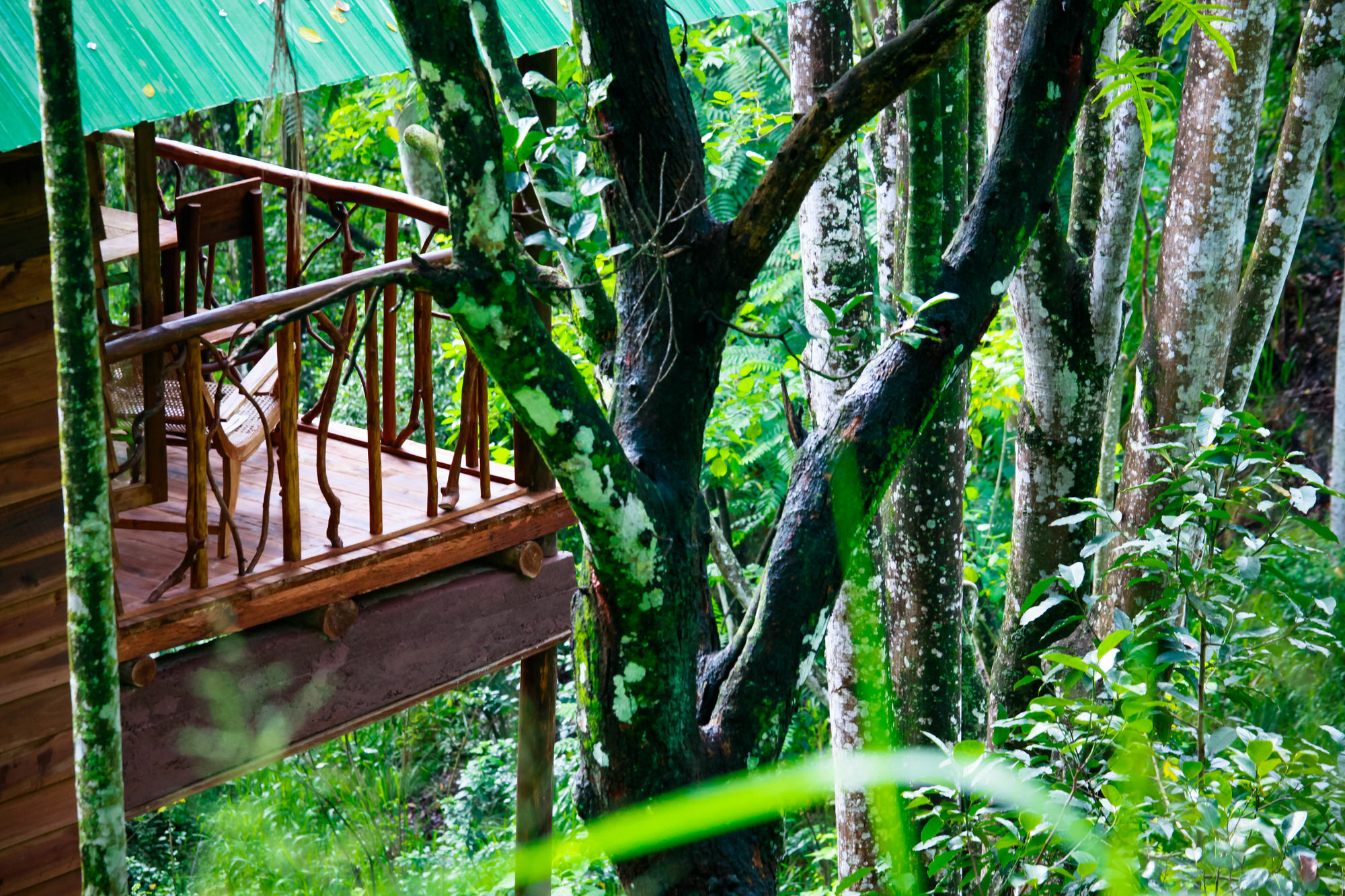 Ella Ecolodge المظهر الخارجي الصورة