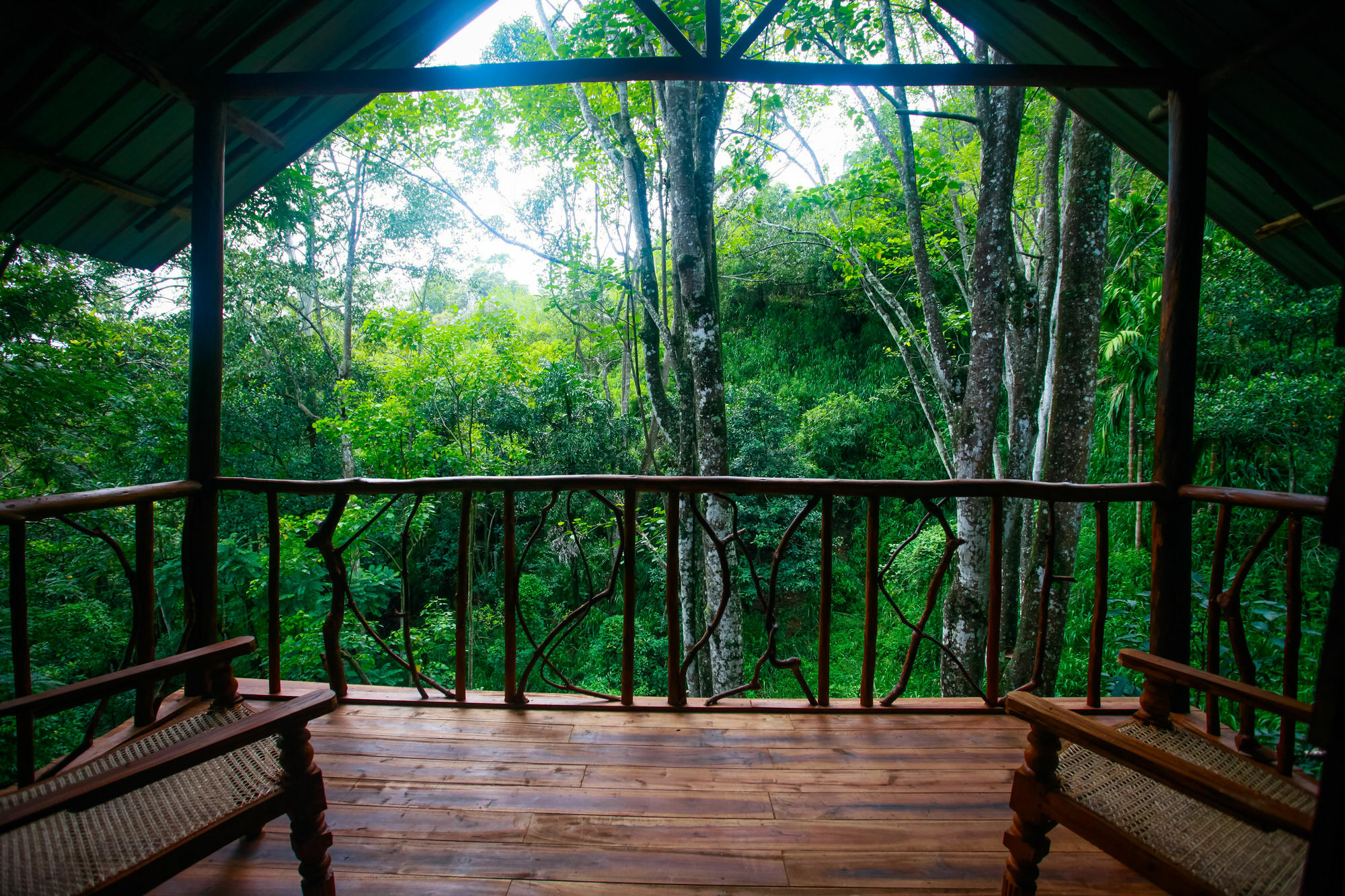 Ella Ecolodge المظهر الخارجي الصورة
