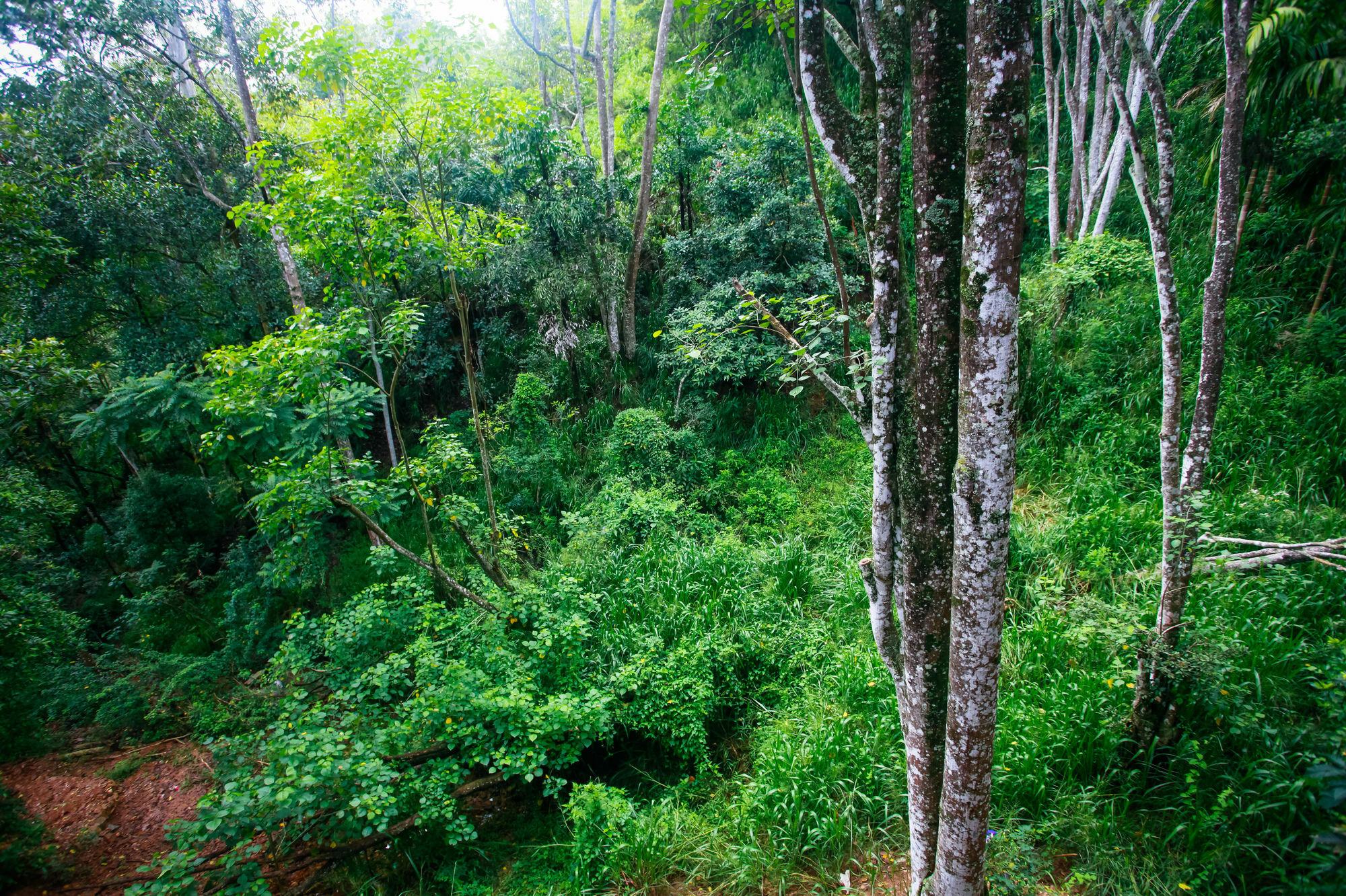 Ella Ecolodge المظهر الخارجي الصورة